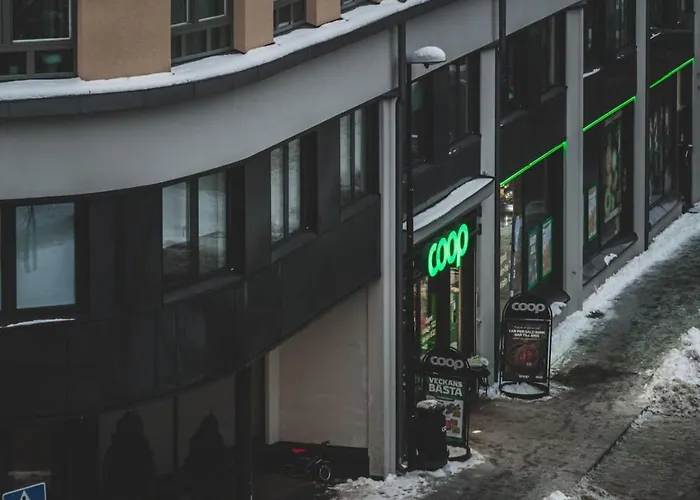 Simple Studio In Trendy Soedermalm - Construction Work